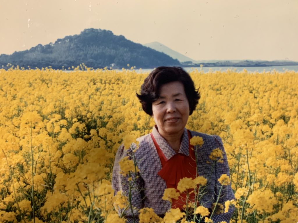 1985년 제주도