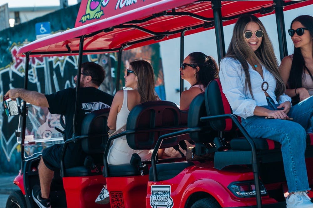 윈우드의 벽에서 즐기는 버기 체험