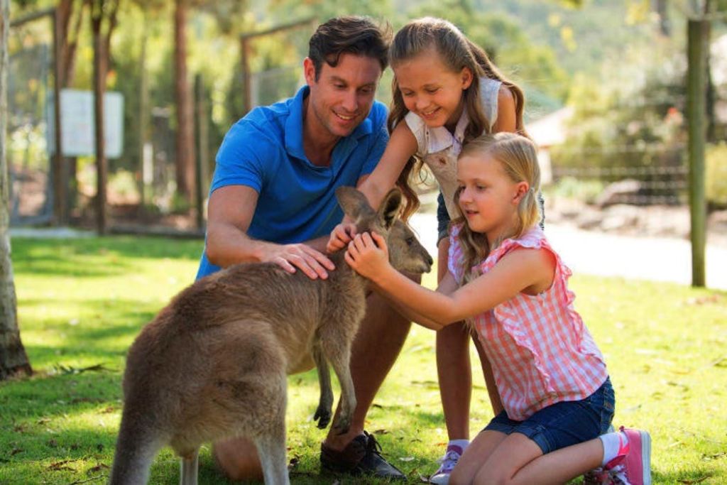 파라다이스 컨트리