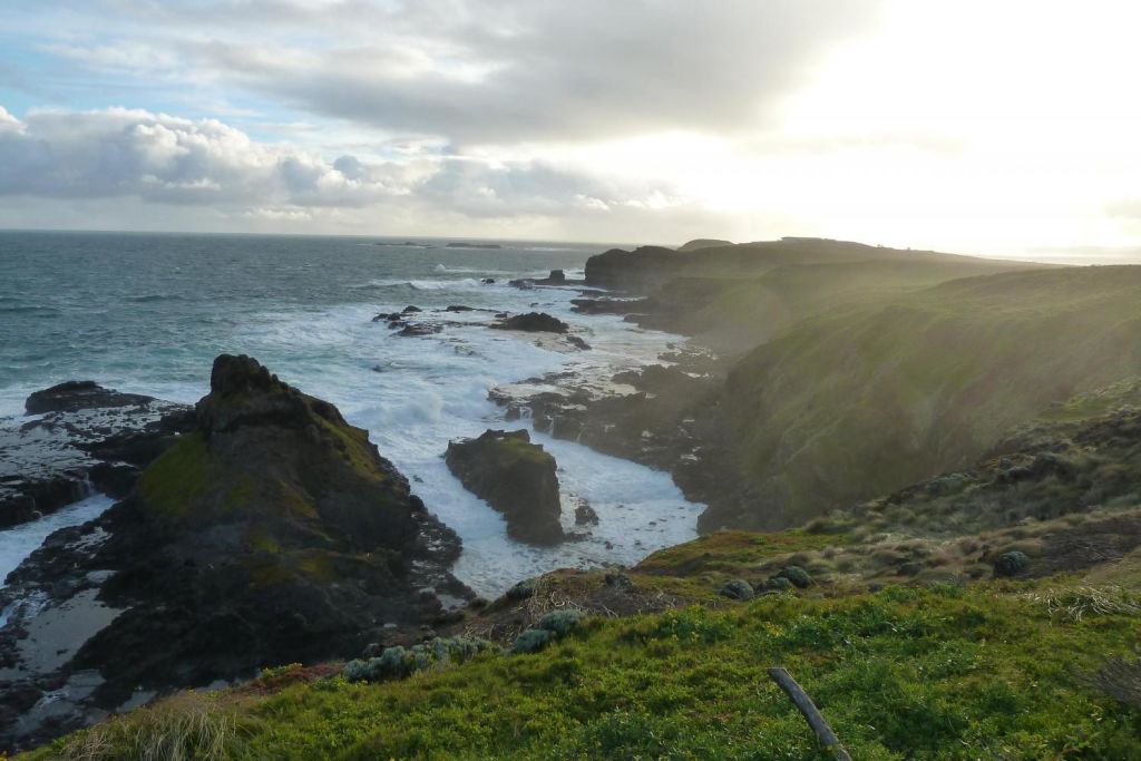 The Nobbies - a rugged rocky outcrop