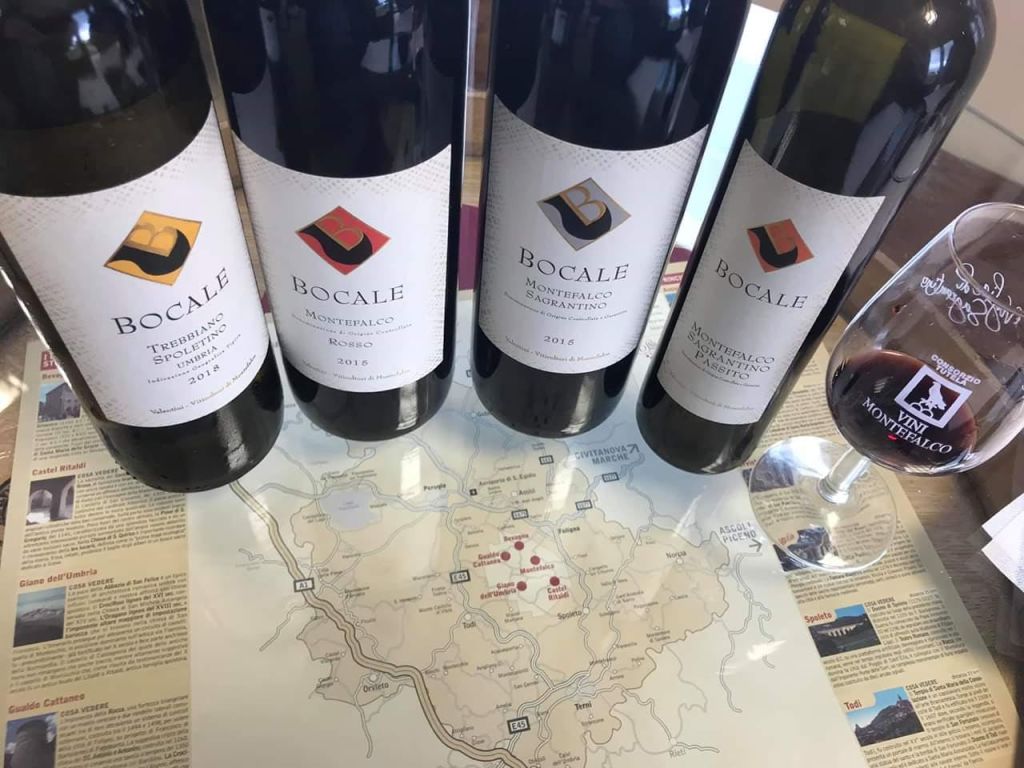 트레비아노 스폴레티노, 몬테팔코 로소, 몬테팔코 사그란티노, 몬테팔코 사그란티노 파시토