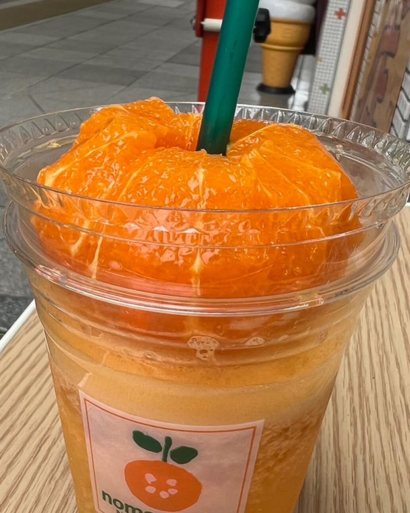 노마 노마