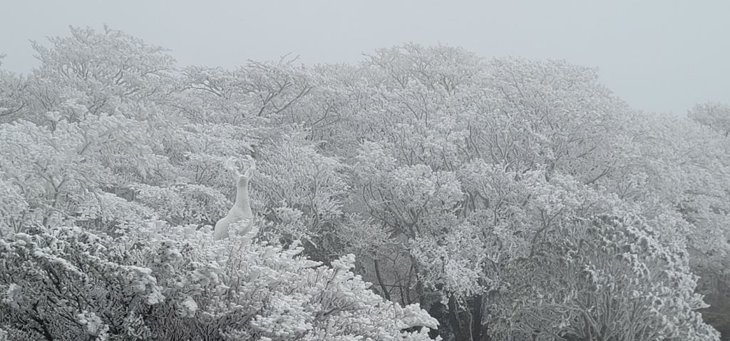 1100 고지 휴게소