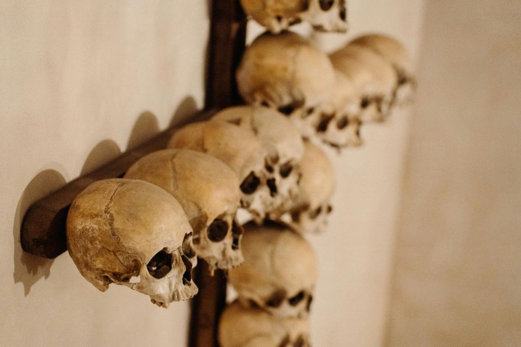 텍스트는 이미 영어로 되어 있습니다.