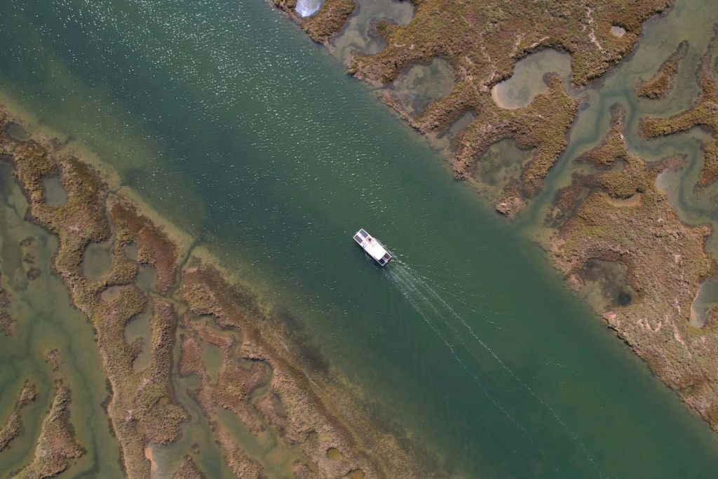 리아포르모사 에코보트 투어 (파루 출발)