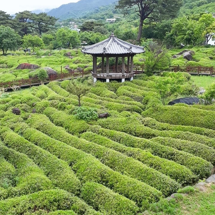 한밭제다
