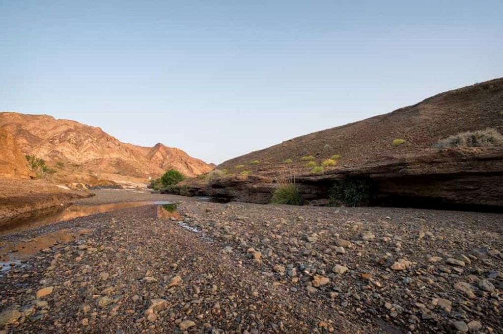 자연스러운 측면
