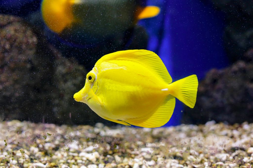 오니리아수족관