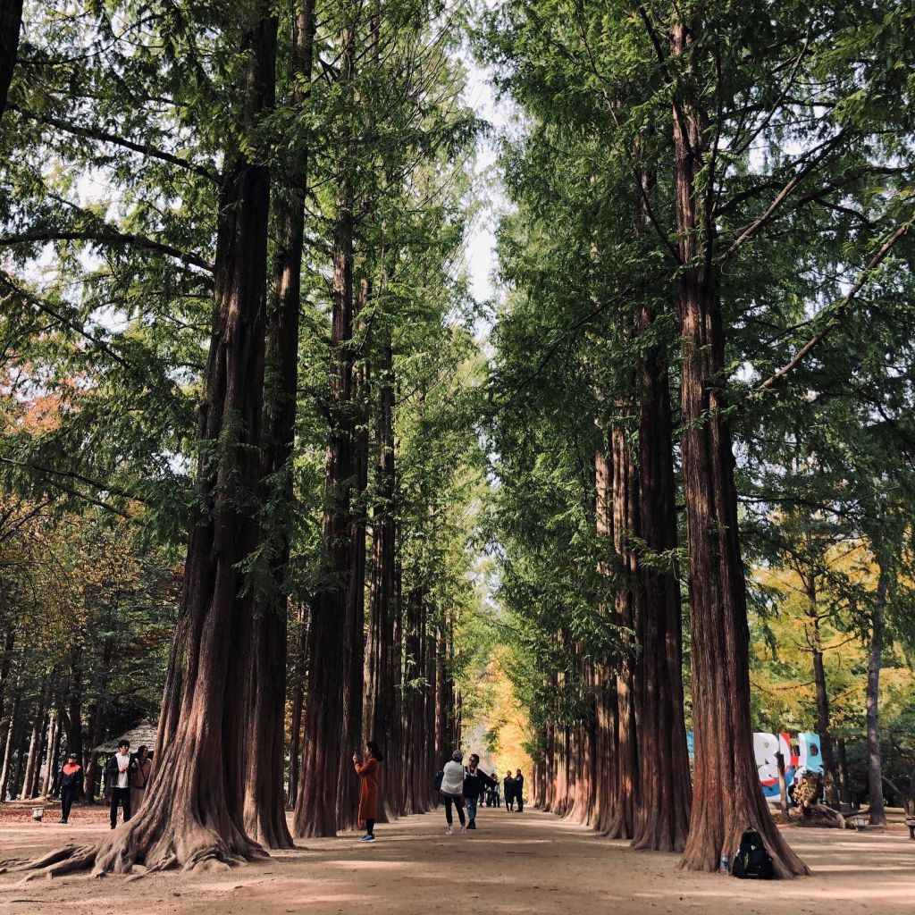 Nami Island Thumbnail 5