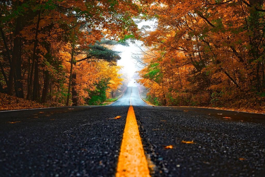 해산령