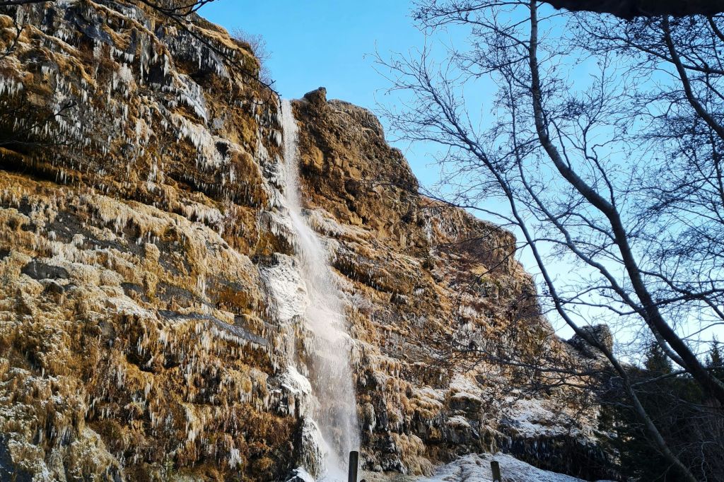 토르슈타인의 숲
