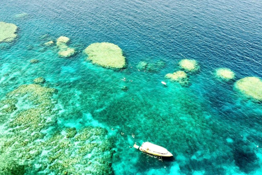 바이퍼: 아우터그레이트배리어리프 + 화이트헤이븐 + 힐인렛