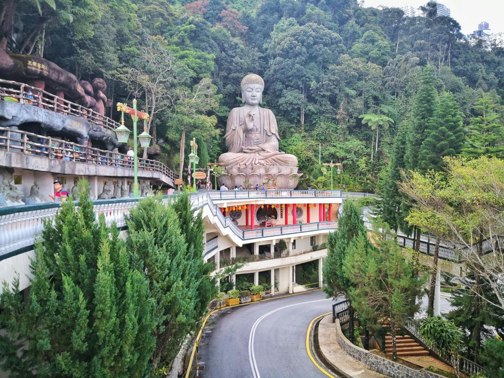숲이 우거진 지역에 자리한 커다란 불상으로, 아래로 굽이진 도로와 층층이 쌓인 건물이 있습니다.