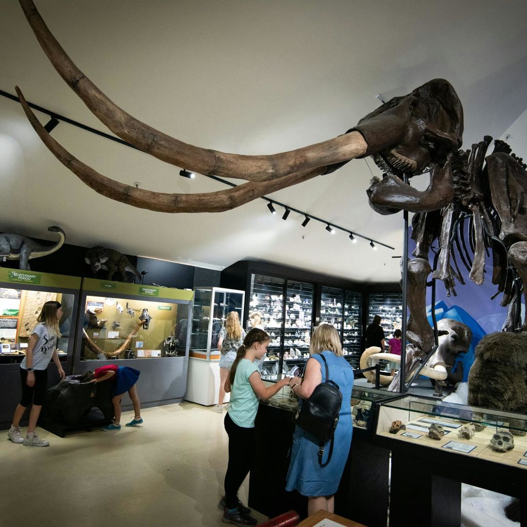 대형 매머드 골격을 포함한 전시물을 살펴보고 다양한 유물이 담긴 케이스를 전시하는 박물관의 사람들.