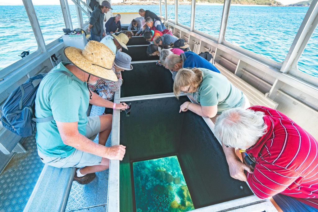 그레이트 케펠 섬 (Great Keppel Island) 의 유리 바닥 보트에서 활기찬 해양 생물과 산호초를 만나보세요.