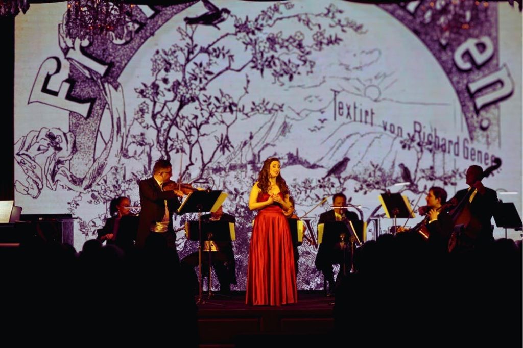 스트라우스의 집에서 즐기는 라이브 콘서트