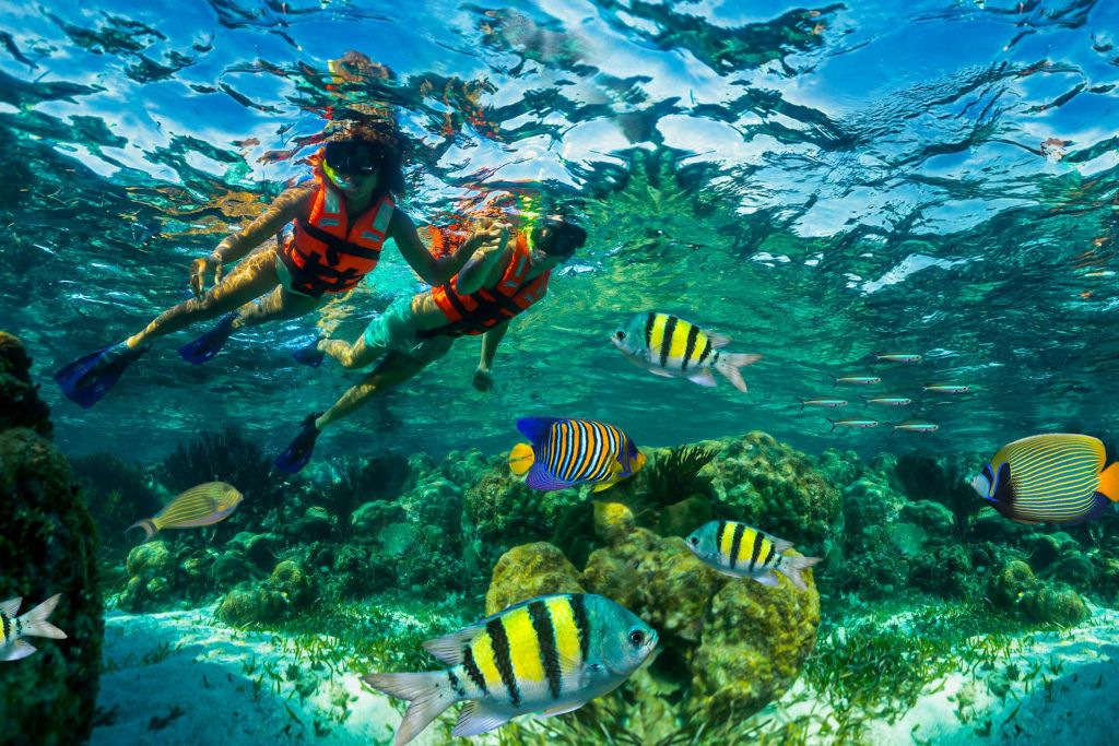 콘페체스엔엘마르 스노클링