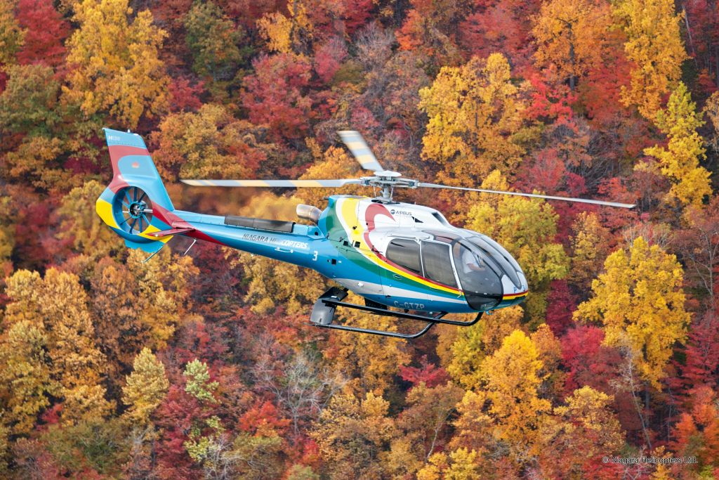 빨간색, 주황색, 노란색의 활기찬 가을 단풍이 펼쳐진 숲 위를 다채로운 헬리콥터가 날아다니고 있습니다.