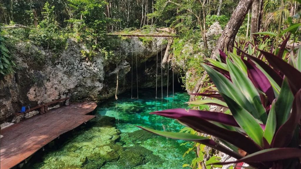 바위와 울창한 녹음으로 둘러싸인 투명한 청록색 천연 수영장에 매달린 밧줄과 플랫폼이 배경입니다.