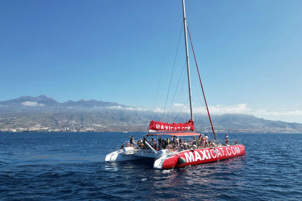 테이드를 배경으로 한 쌍동선 맥시캣.