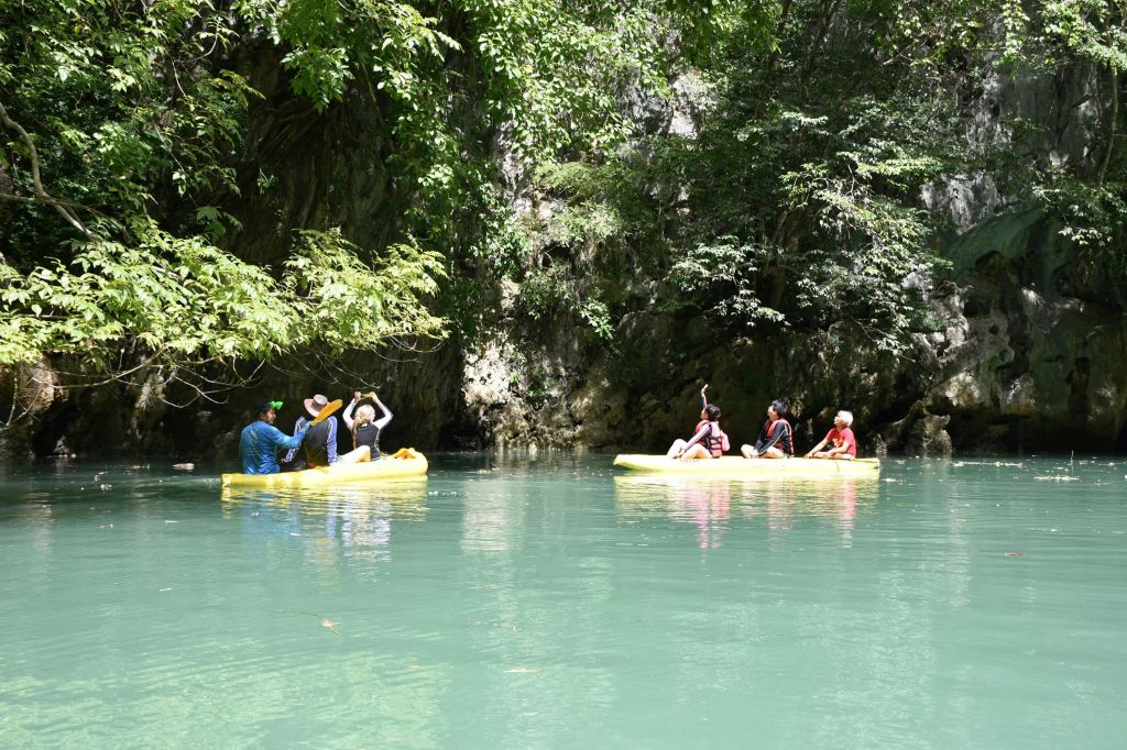 주변의 순수한 자연과 야생 동물을 만나보세요