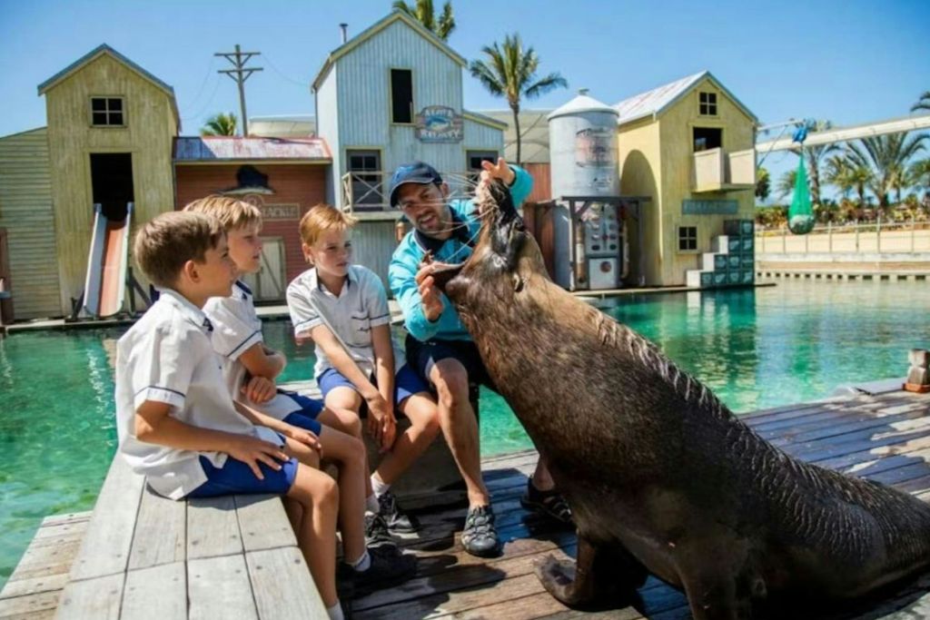 세 명의 어린이와 한 남자가 선착장에 앉아 화려한 건물이 있는 수역 근처에서 물개가 마술을 부리는 모습을 지켜보고 있습니다.