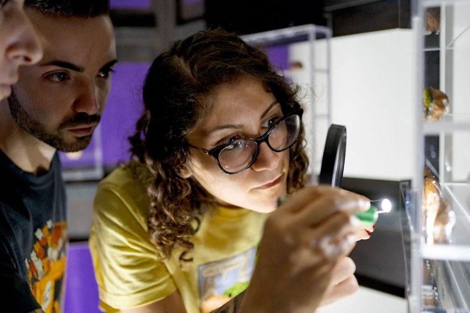 무세오디비노 박물관 방문자