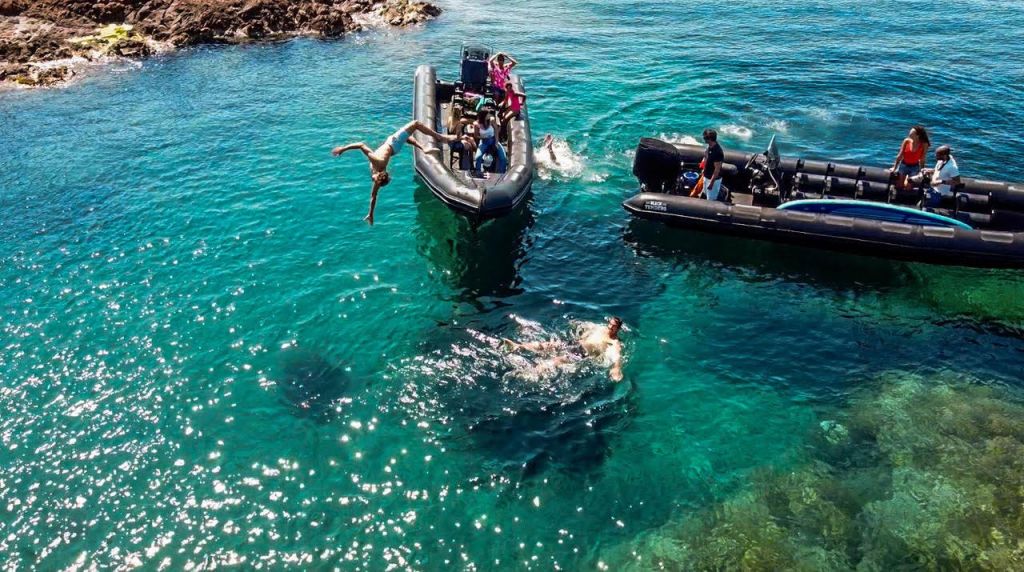 블랙 텐더와 함께 즐거운 시간 보내세요