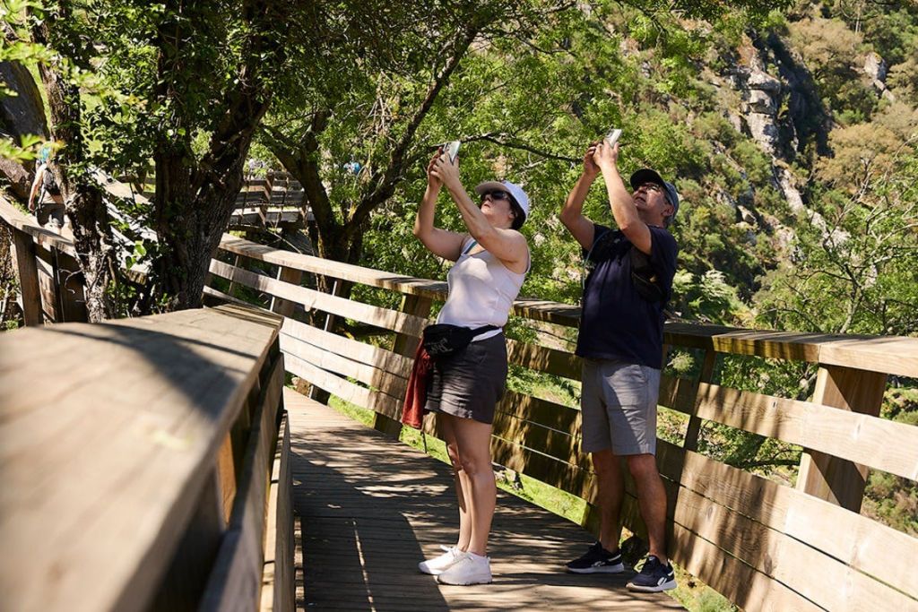 파이바 산책로 전망