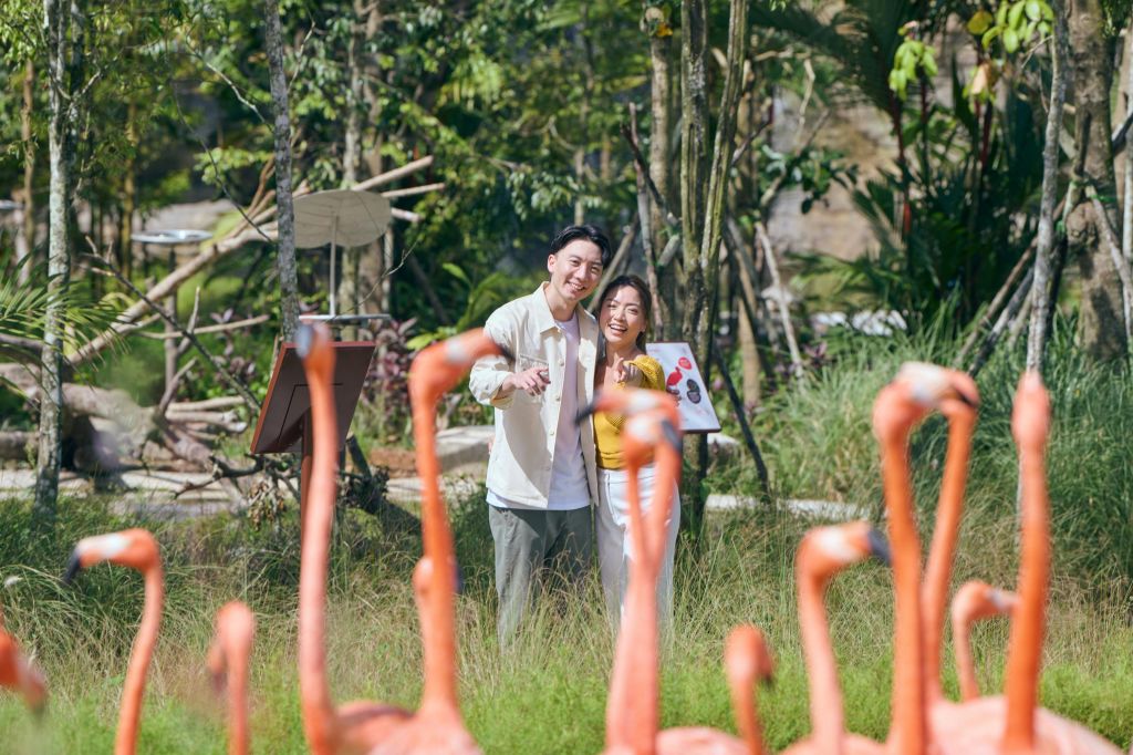 버드 파라다이스