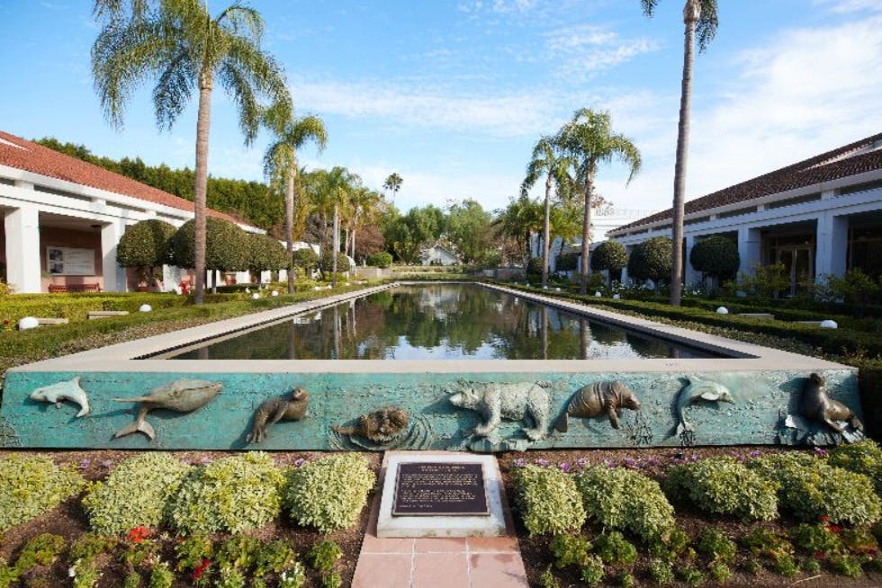 리처드 닉슨 재단