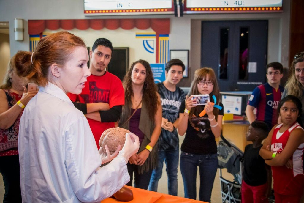 한 여성이 세심한 배려를 보이는 사람들에게 모델 뇌를 쥐고 설명하고 있으며, 그 중 일부는 사진과 동영상을 찍고 있습니다.