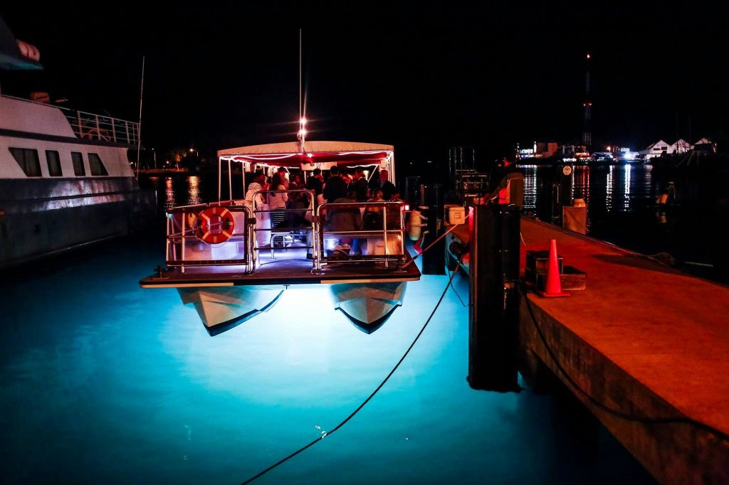 하와이 유리 바닥 보트 투어