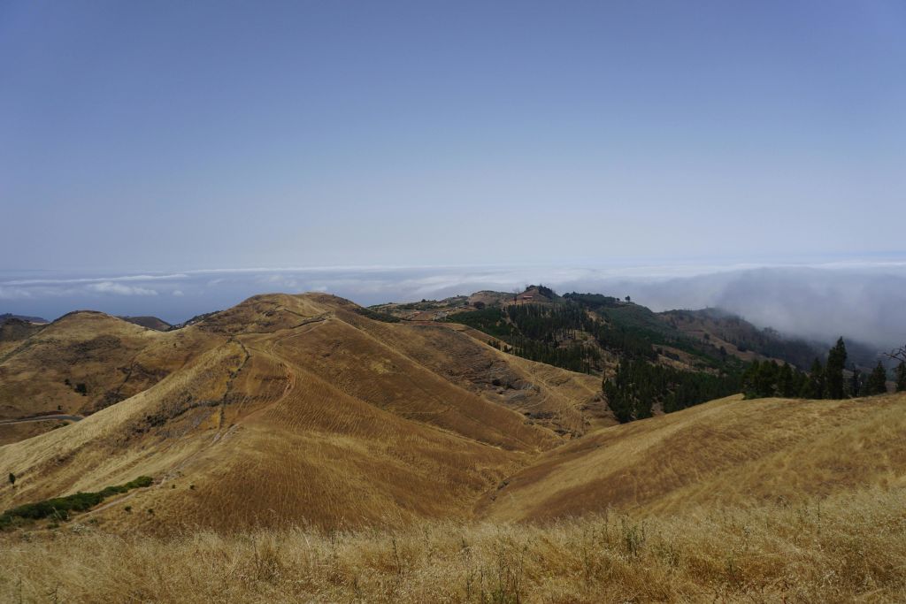 맑고 푸른 하늘 아래 저 멀리 푸르고 숲이 우거진 녹지로 변해 있는 언덕의 풍경이 눈앞에 펼쳐집니다.