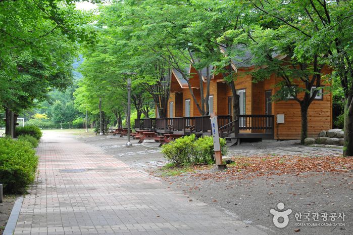 산장관광지