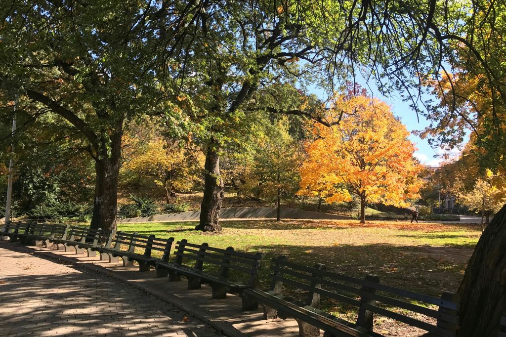 마커스가비공원