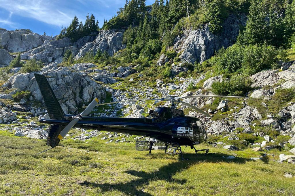 헬리콥터가 돌을 둘러싼 잔디밭에 착륙했습니다.