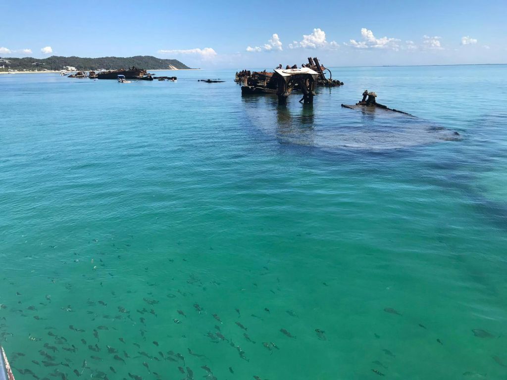 청록색의 맑은 물에 부분적으로 잠긴 난파선은 먼 섬과 작은 물고기가 수면 근처에서 헤엄치고 있습니다.