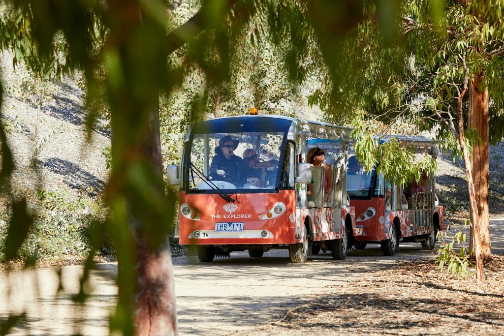 익스플로러 버스
