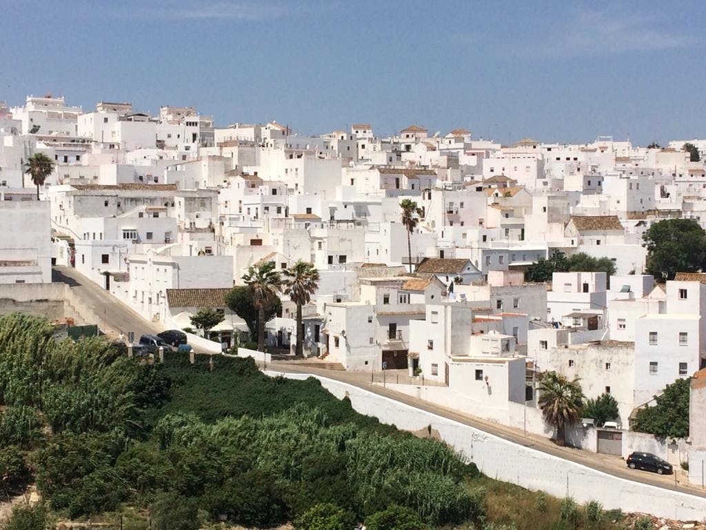 야자수가 몇 그루 있고 전경에 푸른 초목이 우거진 하얀 건물이 밀접하게 들어선 언덕 마을.