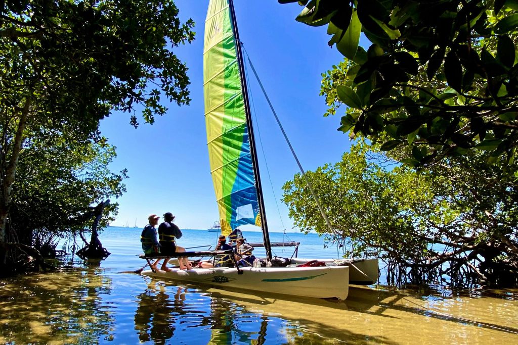 저희 호비 캣은 맹그로브의 은밀한 은신처에 있습니다.