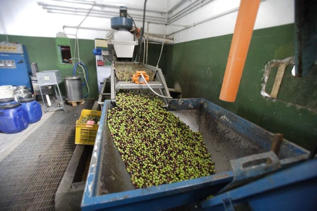 액티브 오일 밀