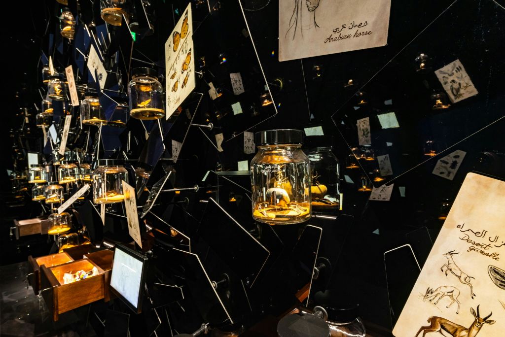 거울과 스케치로 둘러싸인 물건을 담은 유리 항아리를 전시하여 반사적이고 예술적인 전시물을 만듭니다.