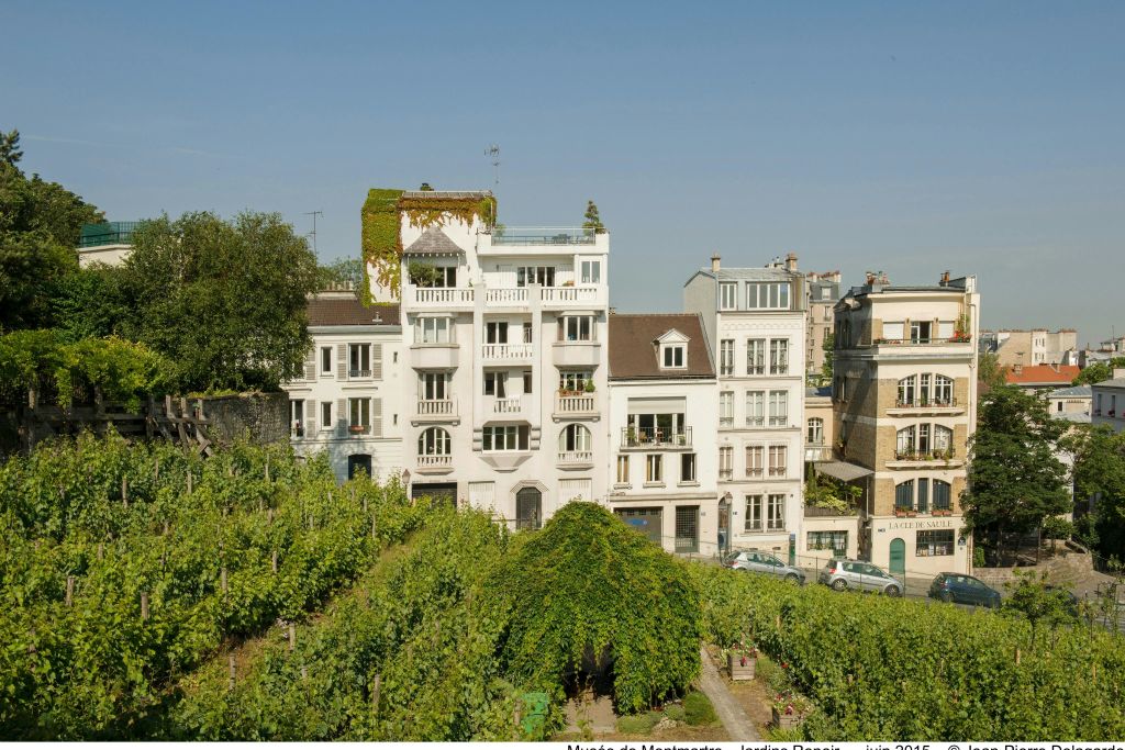 르누아르 정원에서 바라본 몽마르트르 포도원 풍경.