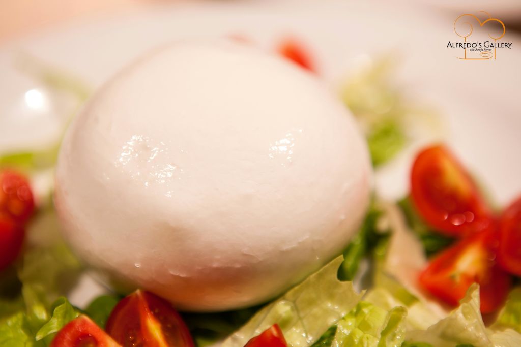 신선한 모짜렐라가 체리 토마토 반쪽과 양상추 잎으로 둘러싸여 있습니다.