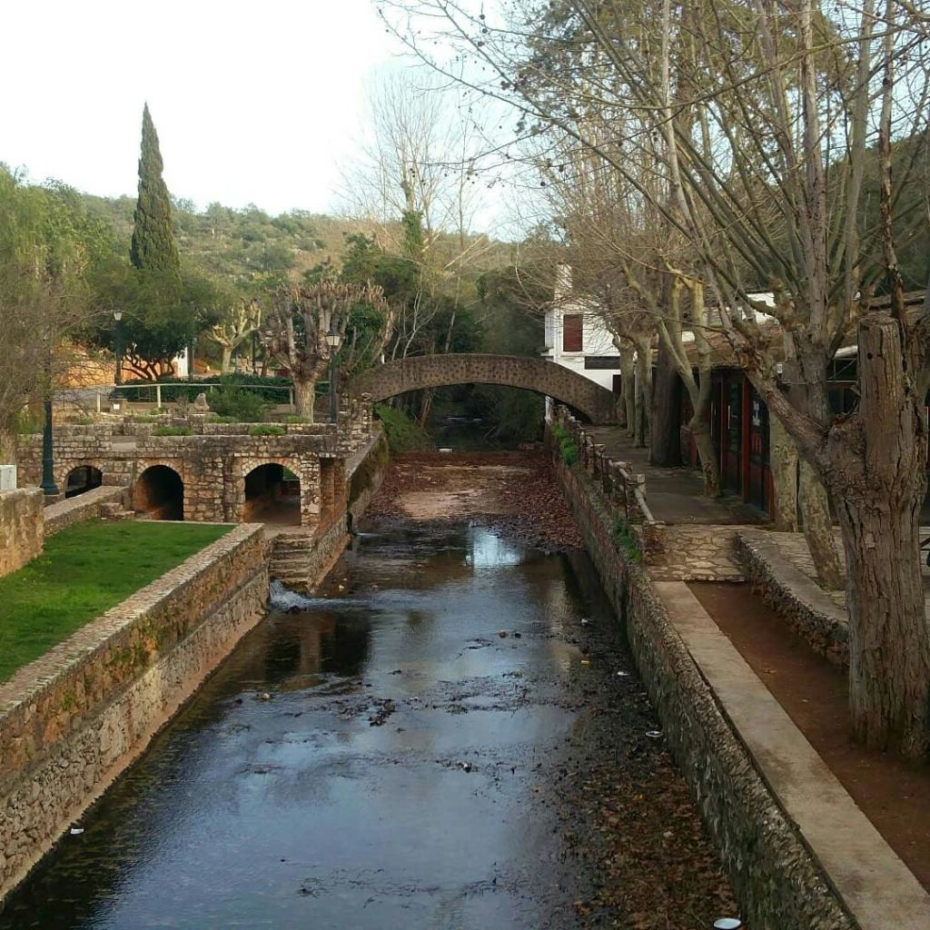 좁고 가로수가 늘어선 개울 위에 놓인 돌다리. 양쪽에 건물과 통로가 있습니다.