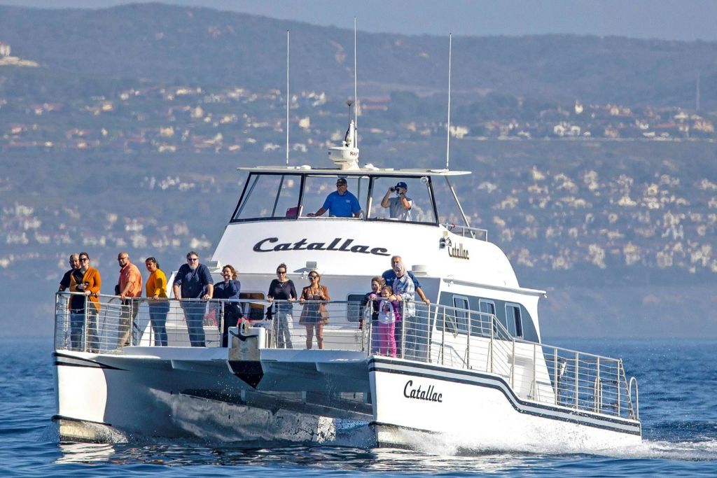 데이비의 물품 보관소