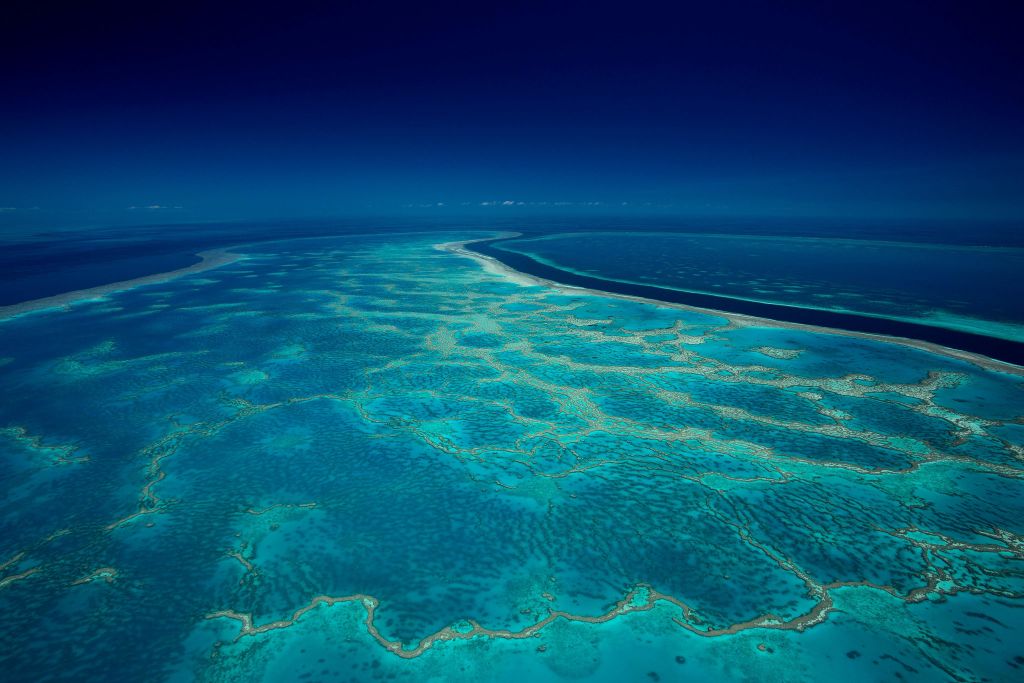 깊고 푸른 하늘 아래에서 활기찬 청록색 물에 담긴 산호초 시스템의 공중 전망.
