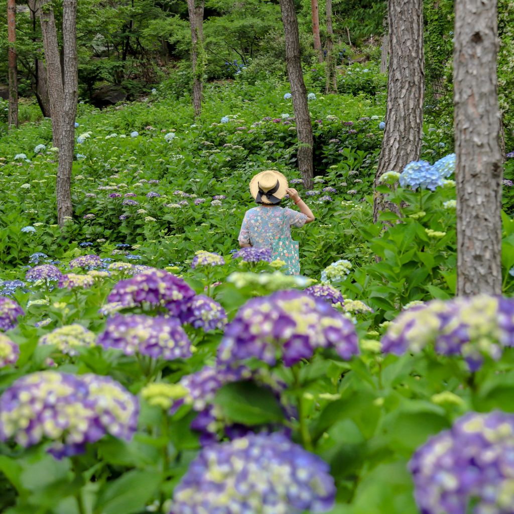 천천히 산책하며 즐기기에 좋다.