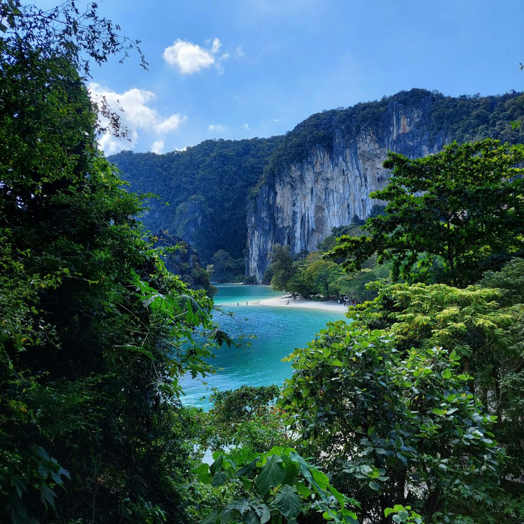푸른 하늘 아래 푸르른 녹음과 높은 바위 절벽으로 둘러싸인 청록색 바다가 있는 경치 좋은 해변.